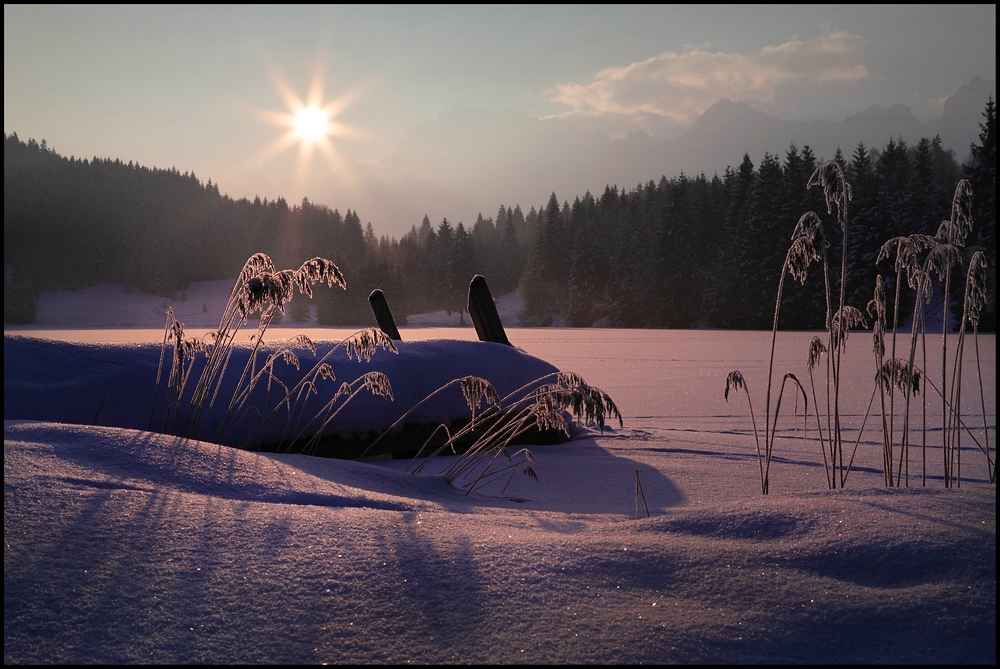 ~ frühe Wintersonne II ~