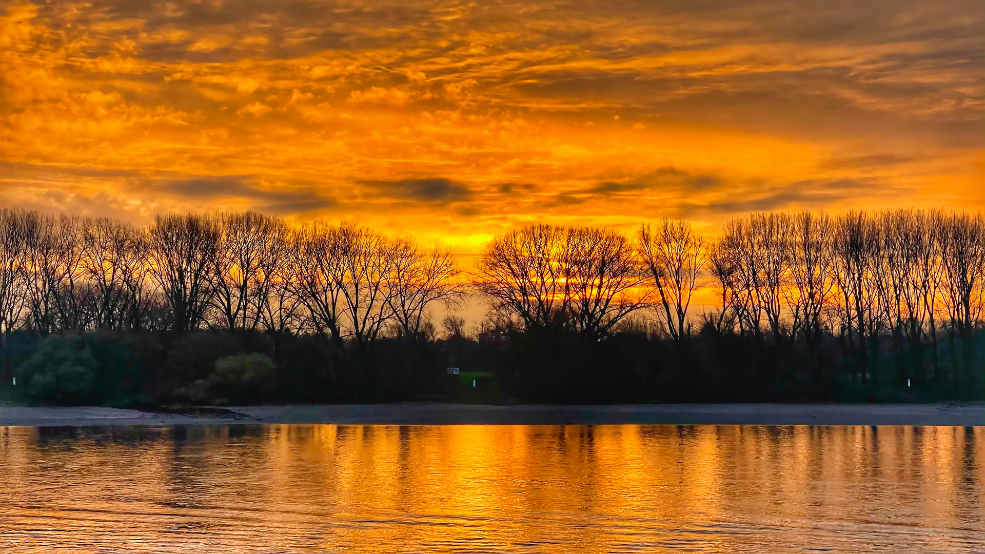 Frühen Morgen am Rhein 