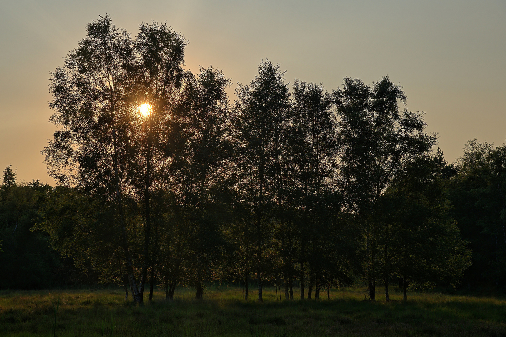 Früher Abend...