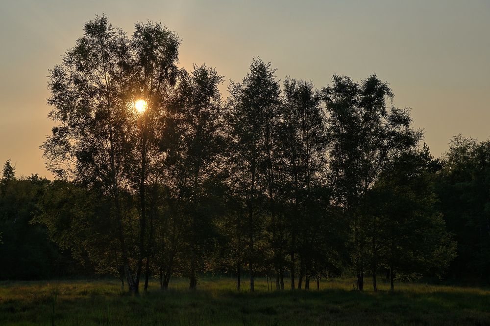 Früher Abend...