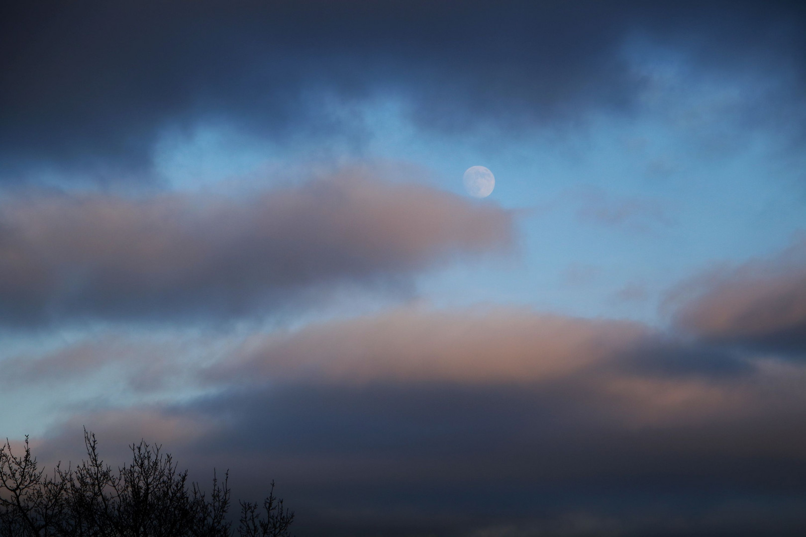 Früher Abend im Februar