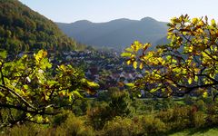 Früher Abend im Herbst …