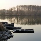 früher Abend in den Rheinauen