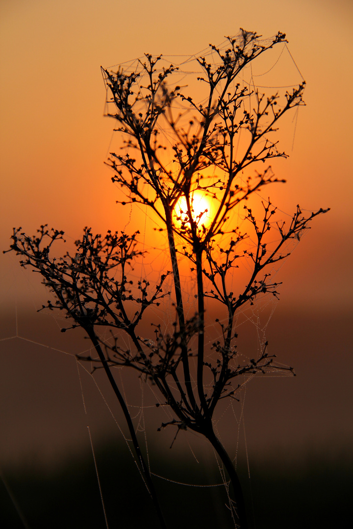 Früher an Morgen