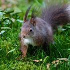 früher Besuch