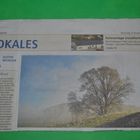 Früher Blick im Gelnhäuser Tageblatt