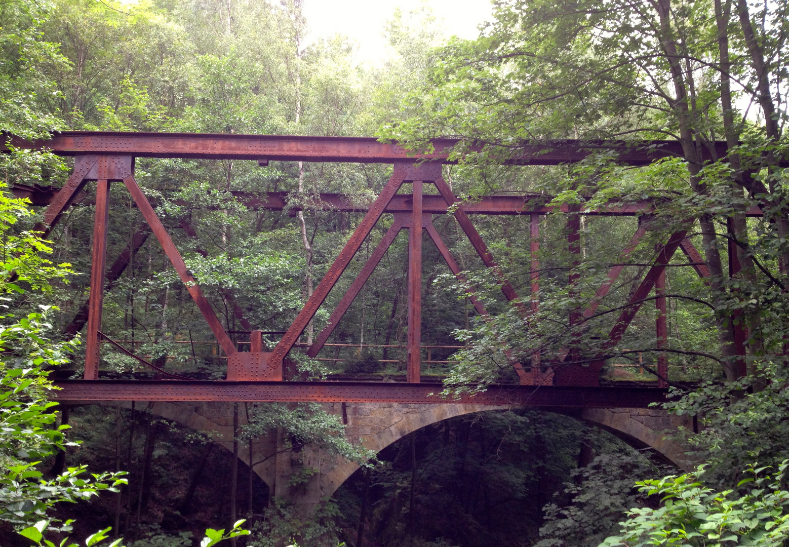 Früher eine bedeutende Bahn, heute nur noch ein par Überreste wie diese genietete Brücke