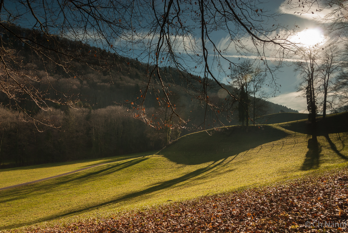 Früher Frühling