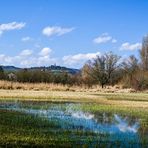 Früher Frühling