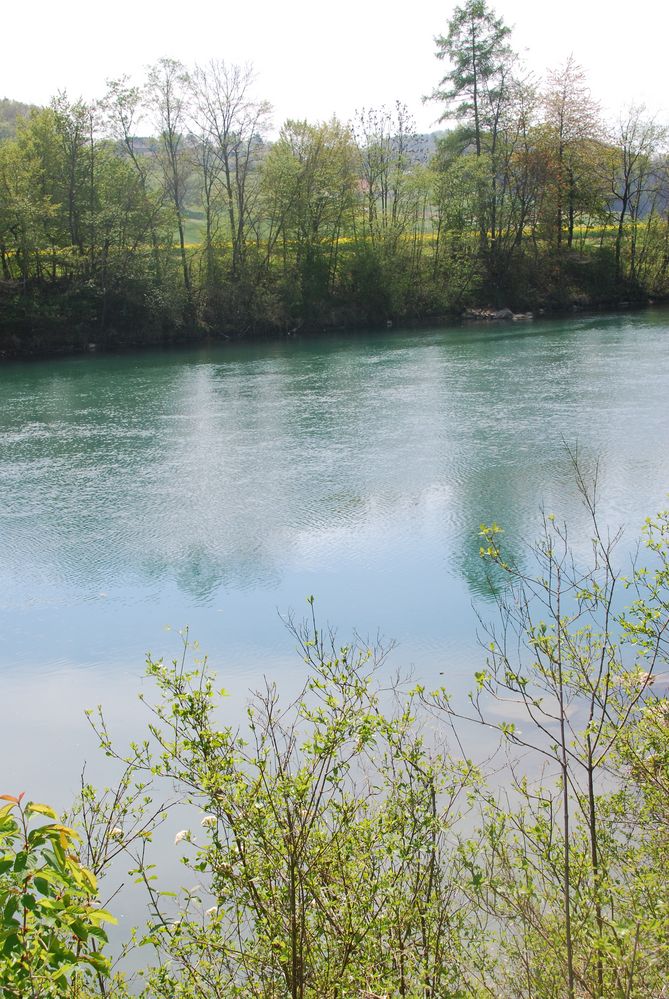 Früher Frühling an der Aare