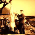 Früher gab es auf dem Dorf nur Hausschlachtung.