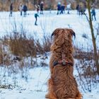 Früher hatten wir noch einen richtigen Winter...