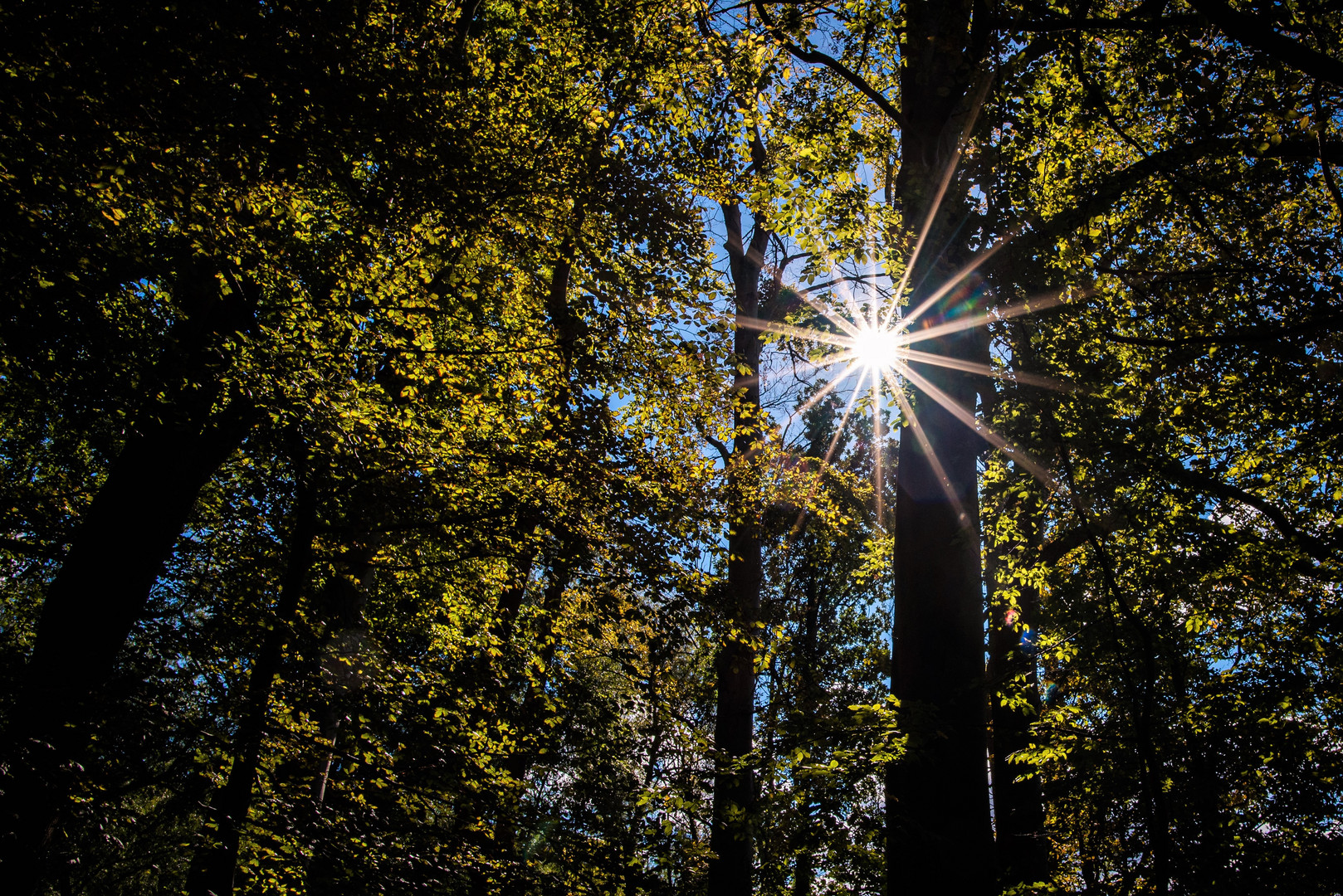 Früher Herbst