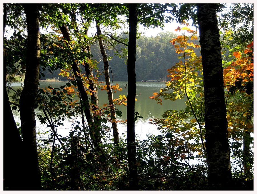 früher herbst...