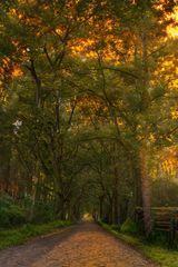 früher Herbst 