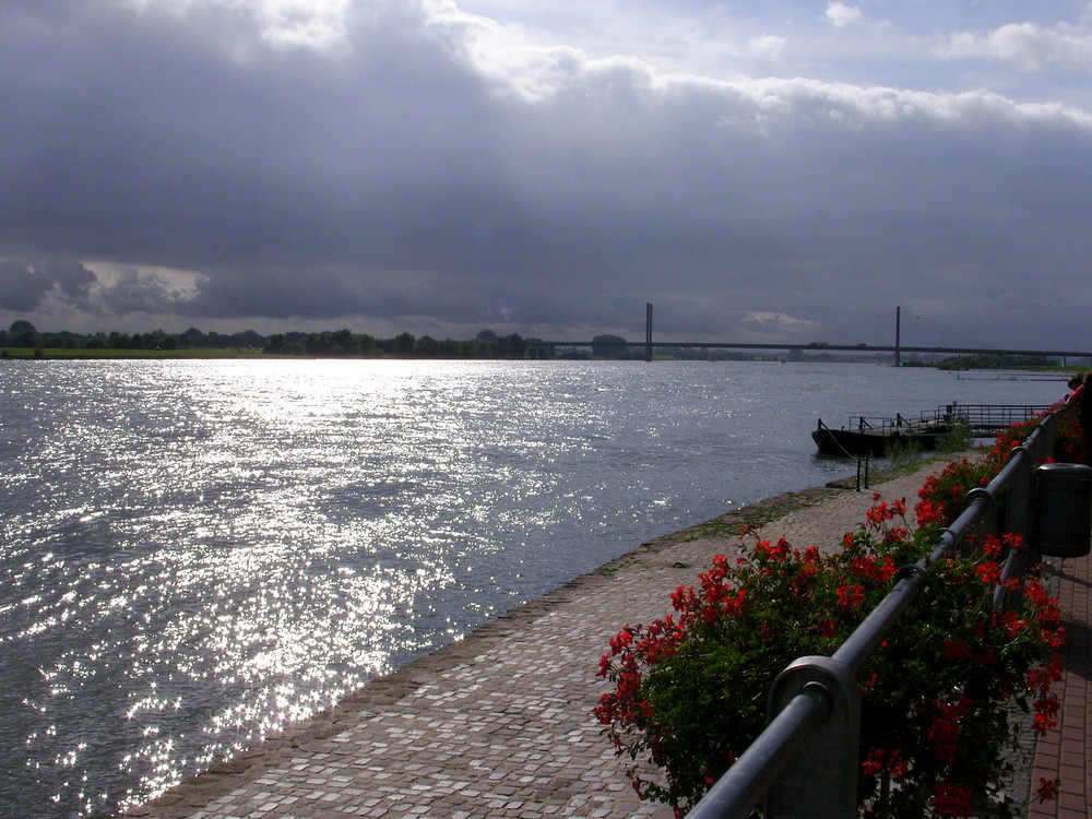 Früher Herbst am Rhein