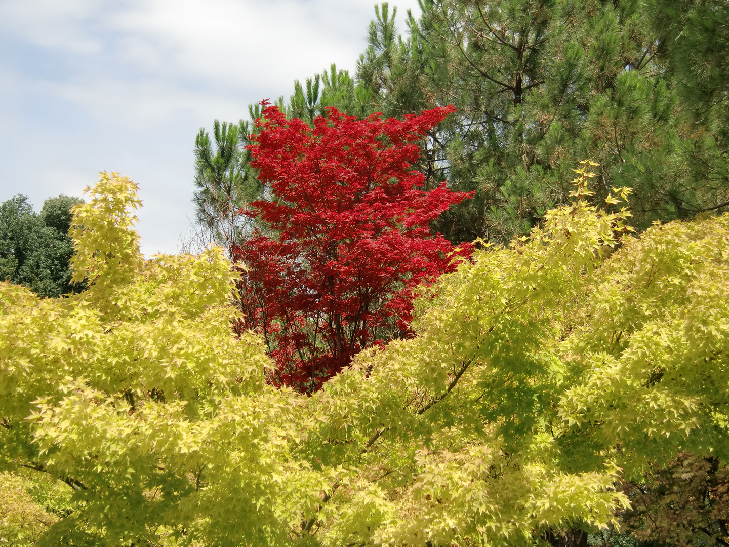 Früher Herbst