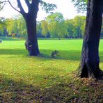 Früher Herbst im Kölner Stadtwald