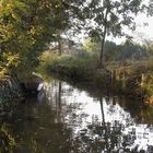 früher Herbst im Spreewald