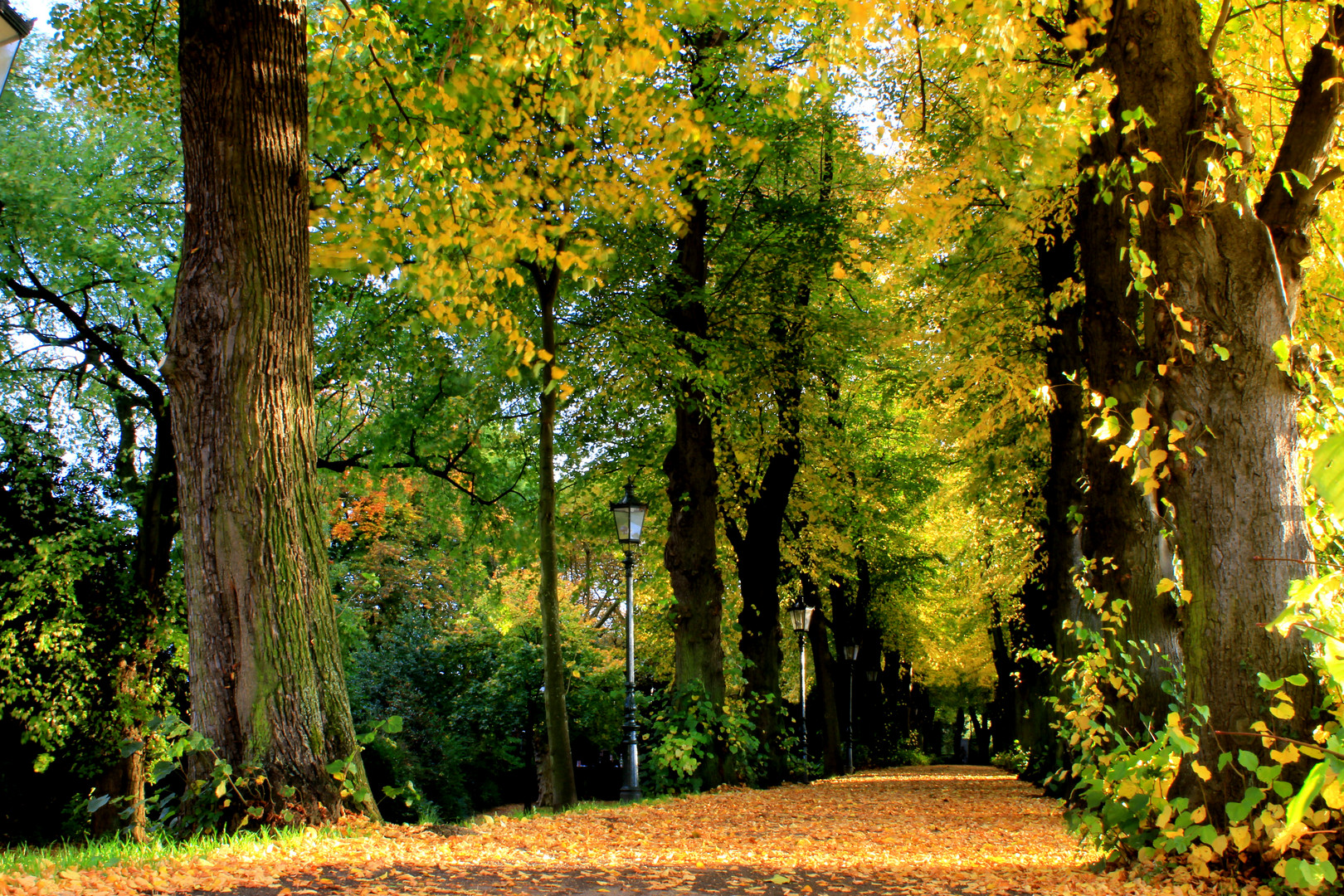 Früher Herbst in Kaiserswerth, Düsseldorf