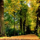 Früher Herbst in Kaiserswerth, Düsseldorf