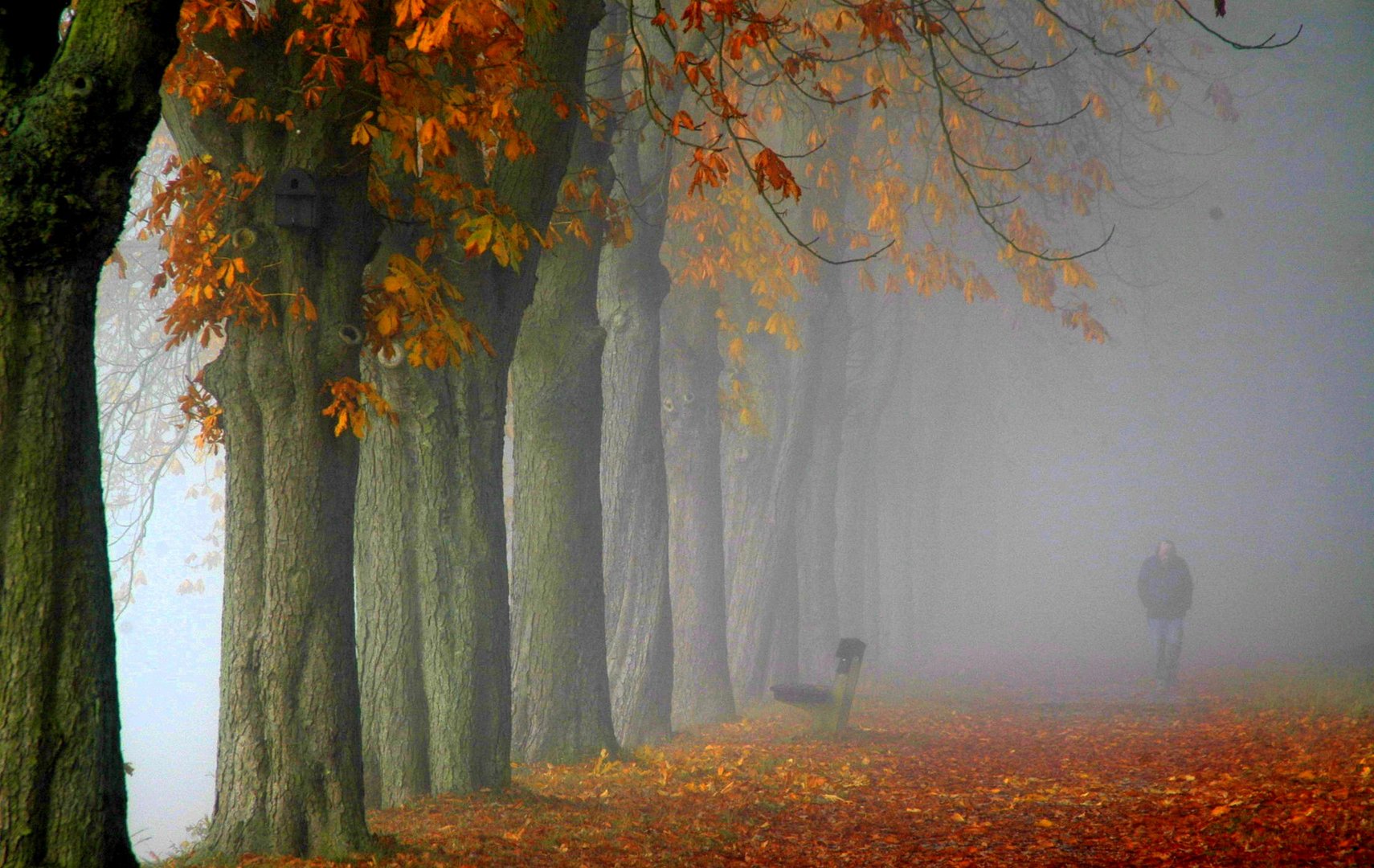 Früher Herbstmorgen.....