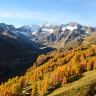 Früher Herbstmorgen - Passeiertal/Timmelsjoch - Nr.7