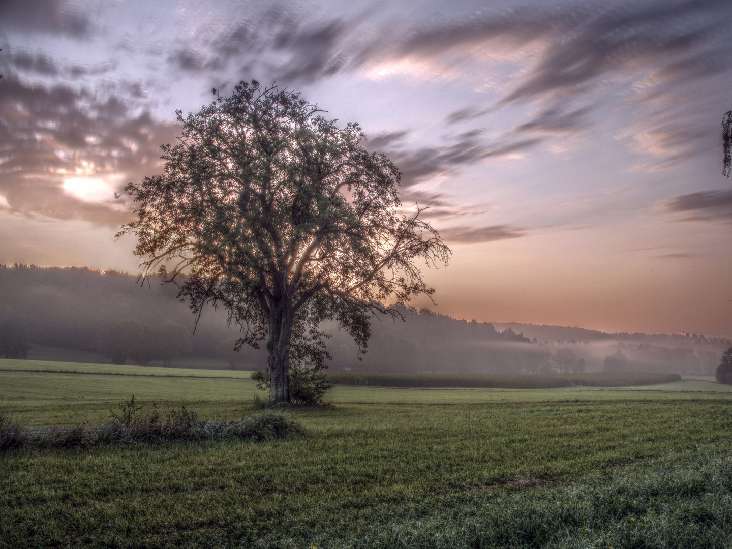 Früher Morgen...