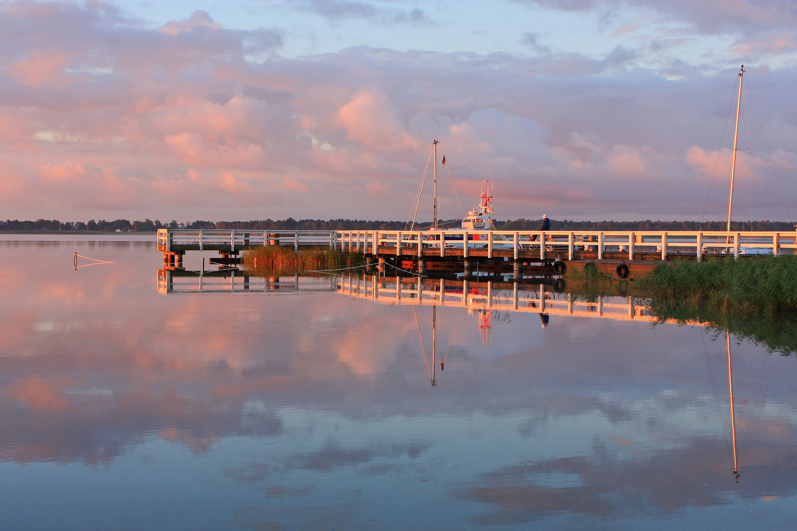 Früher Morgen am Bodstedter Bodden