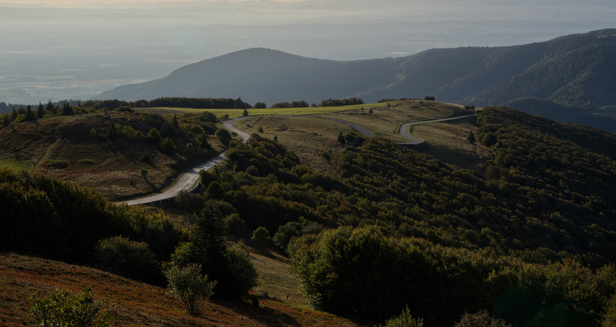 Früher Morgen am Grand Ballon (Vogesen)