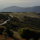 Früher Morgen am Grand Ballon (Vogesen)