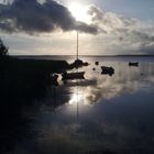 Früher Morgen am Hafen Vitte/Hiddensee