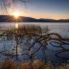 Früher Morgen am Laacher See