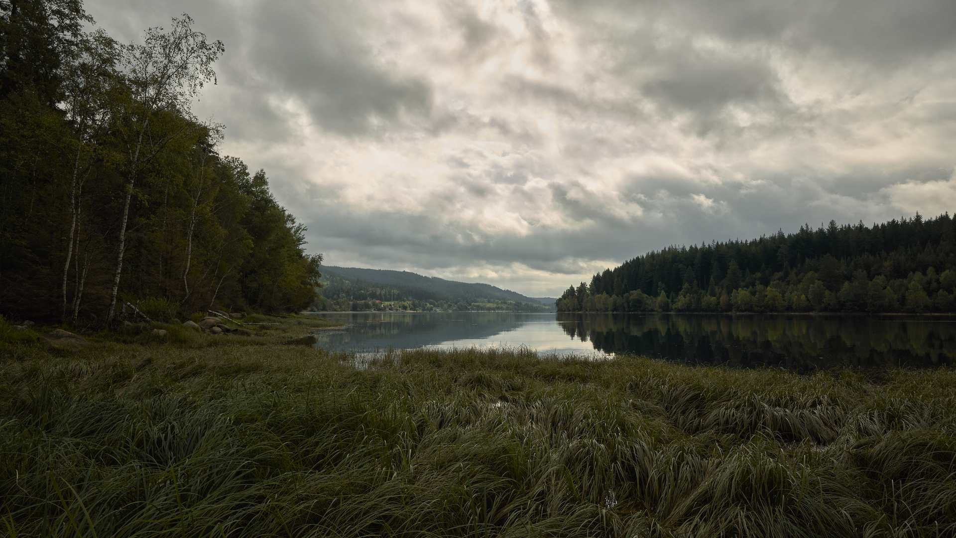 früher Morgen am Schluchsee.