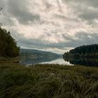 früher Morgen am Schluchsee.