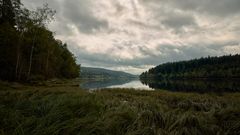 früher Morgen am Schluchsee.