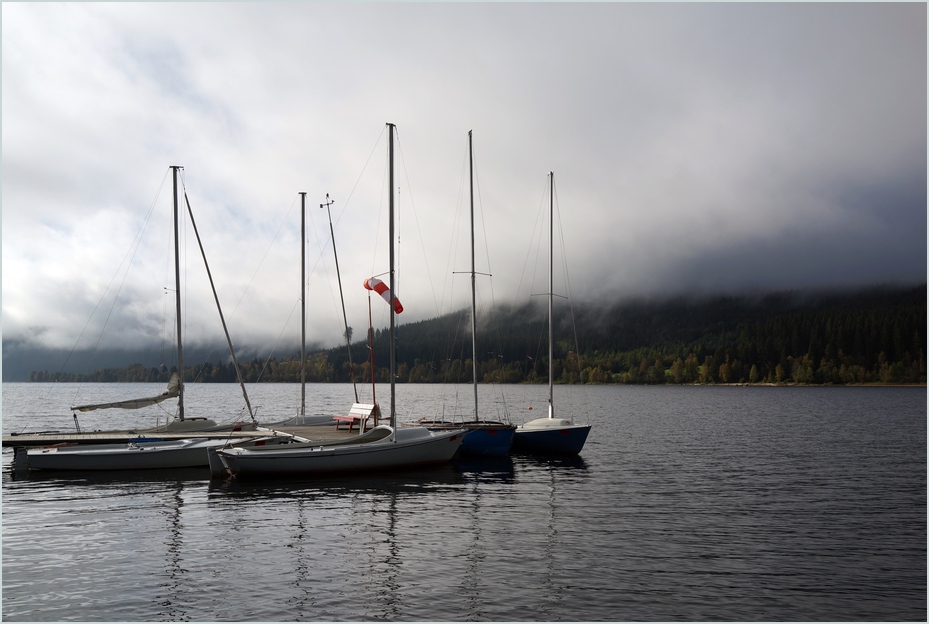 früher Morgen am Schluchsee