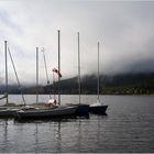 früher Morgen am Schluchsee