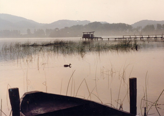 Früher Morgen am See