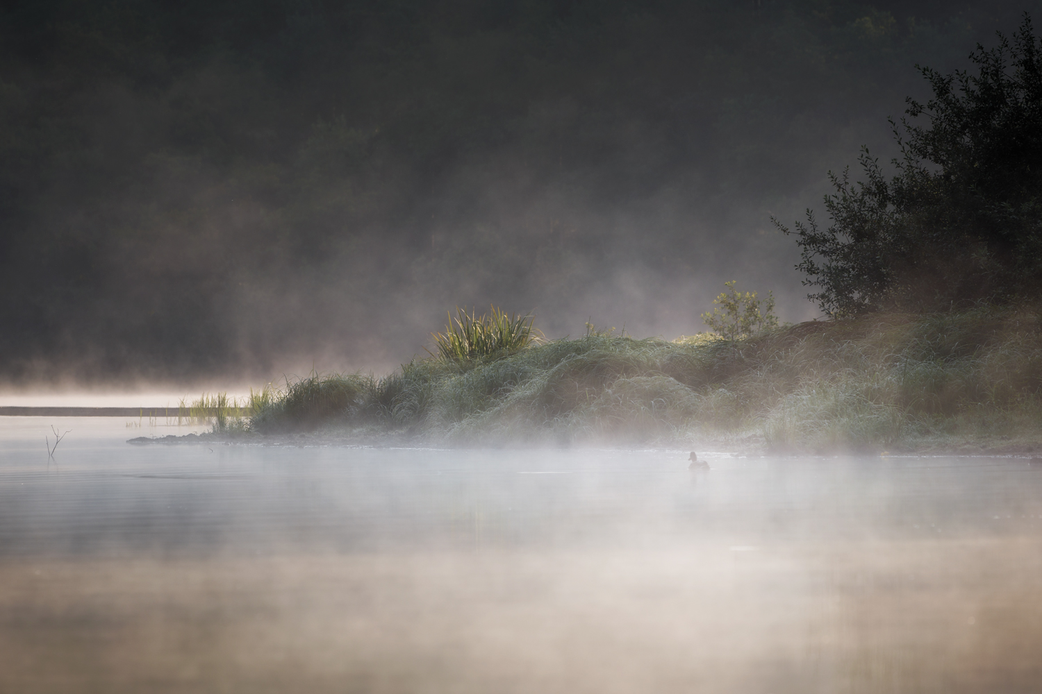 Früher Morgen am See