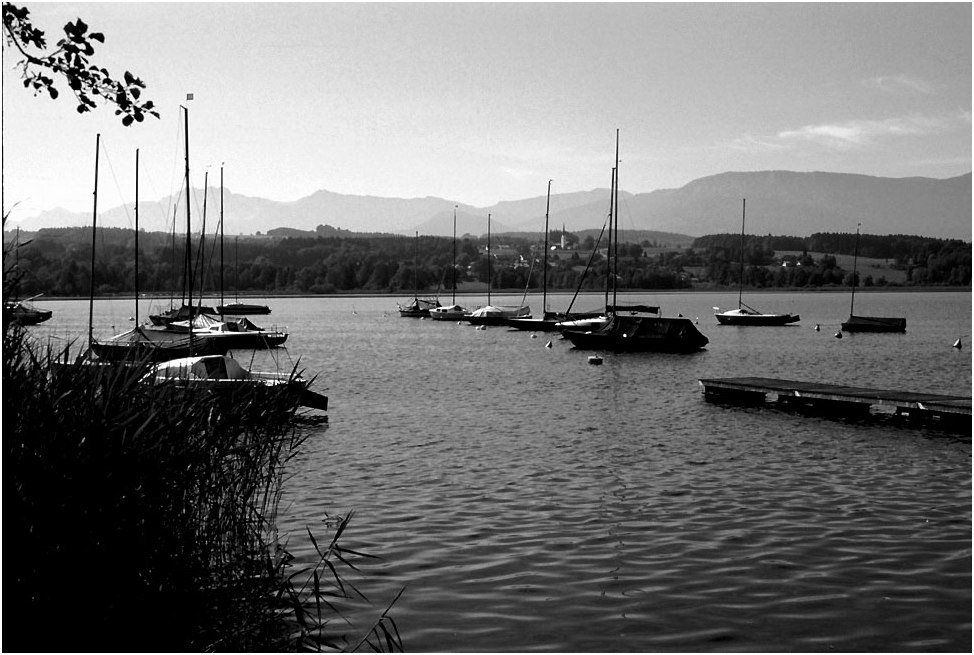 Früher Morgen am Simssee.............