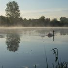 Früher Morgen am Teich