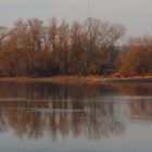 Früher Morgen an der Elbe...