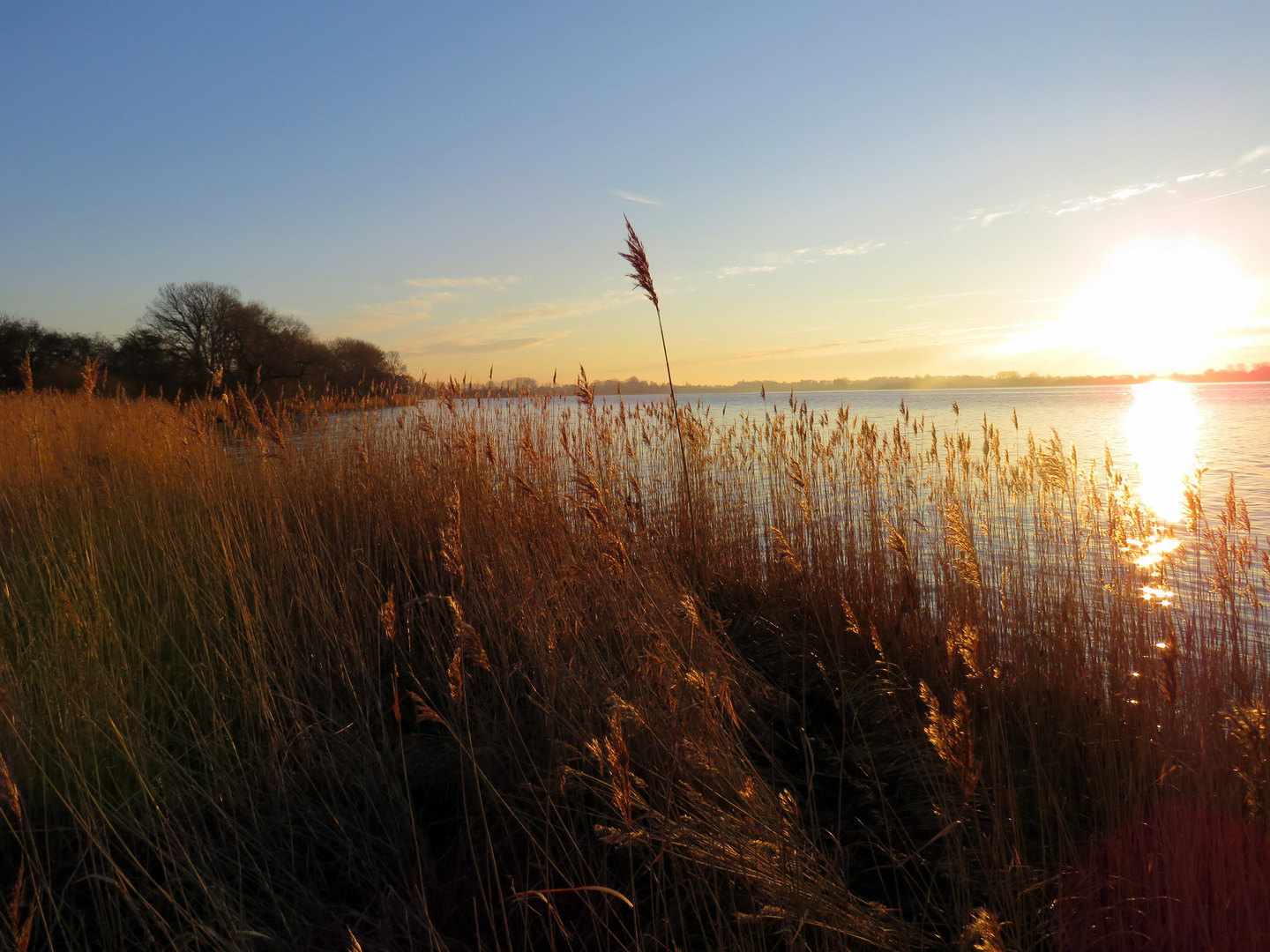 Früher Morgen an der Schlei