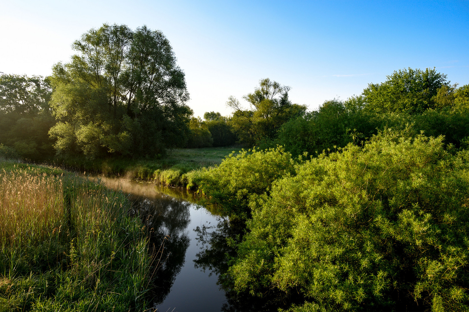 Früher Morgen an der Schunter in Braunschweig-Kralenriede_1