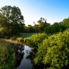 Früher Morgen an der Schunter in Braunschweig-Kralenriede_1