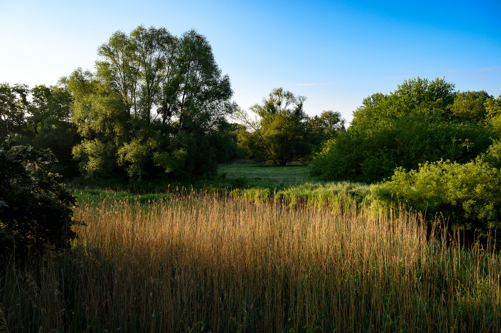 Früher Morgen an der Schunter in Braunschweig-Kralenriede_2