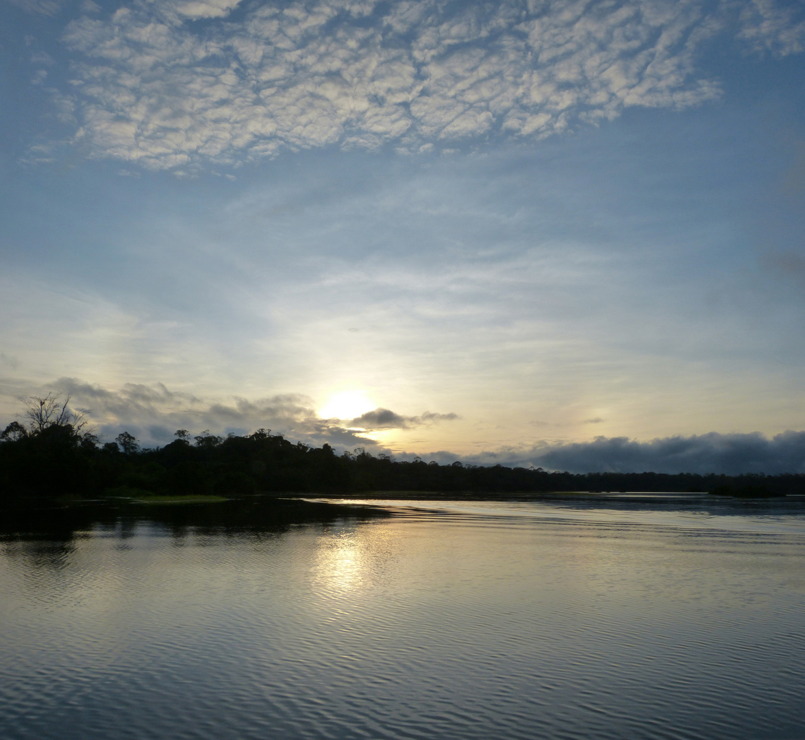 Früher Morgen auf den Rio Negro, Brasilien