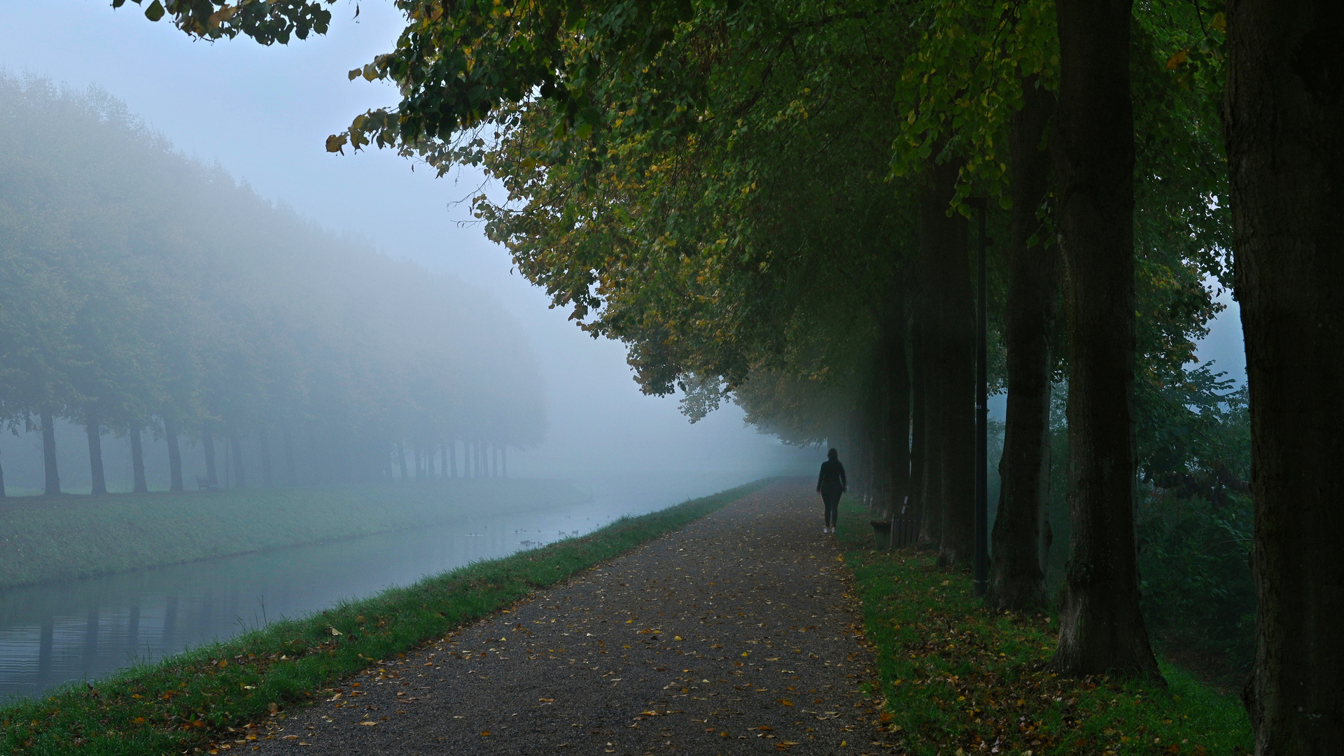 Früher Morgen