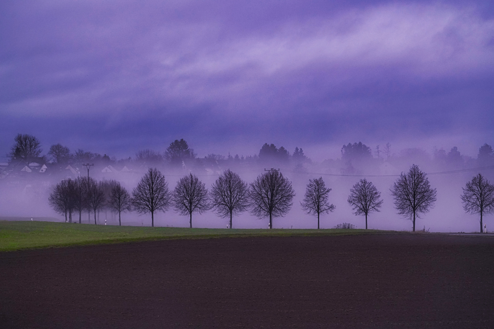 Früher Morgen 